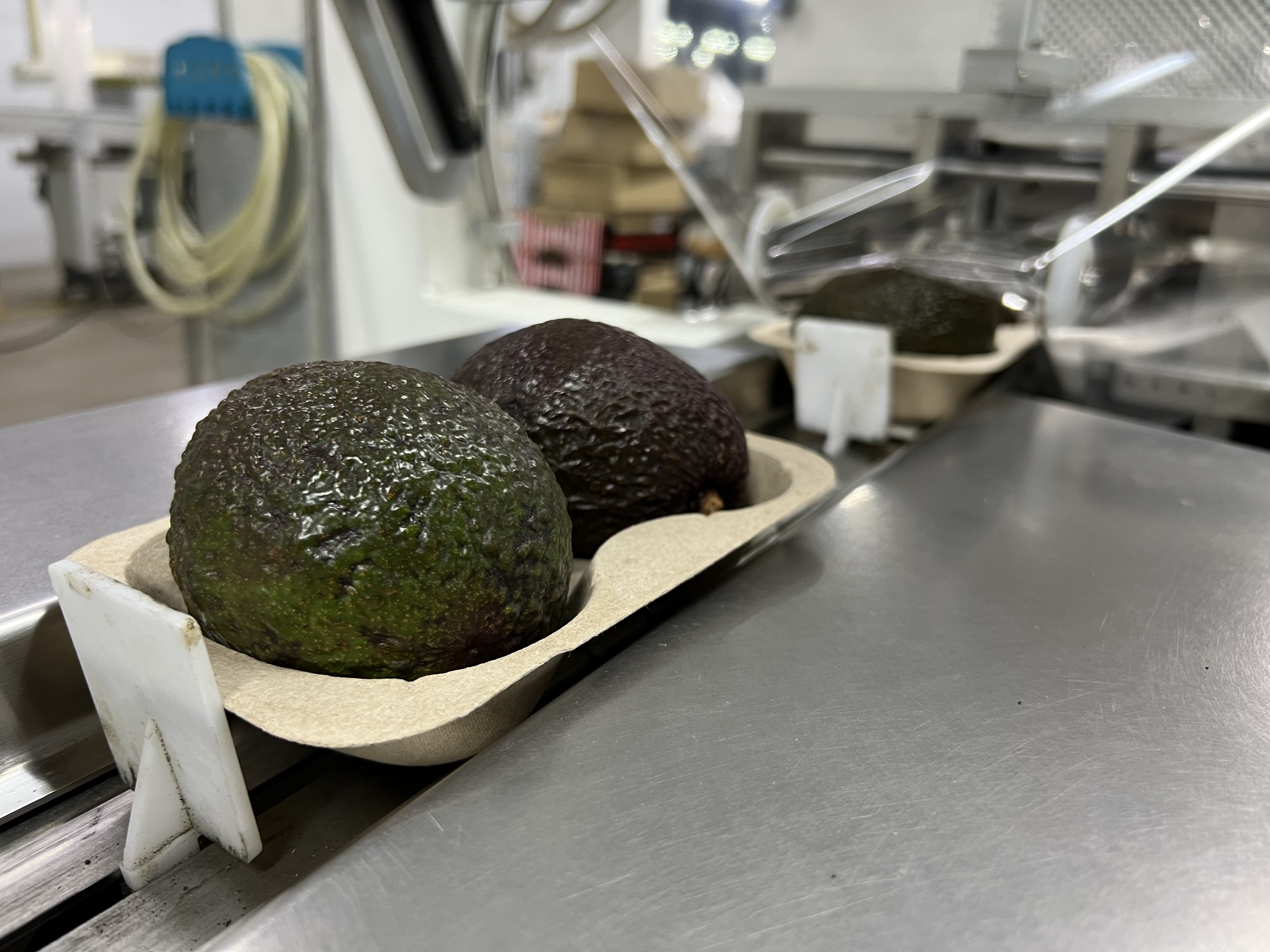 The changing face of sustainable packaging in the AGF sector